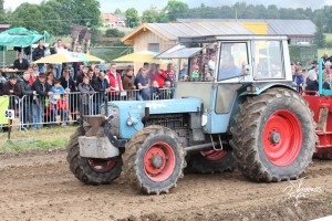 Bremswongziang 2016 159